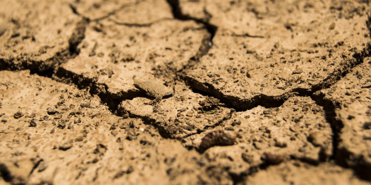 El efecto del hombre en el cambio climático y la urgencia de las energías renovables