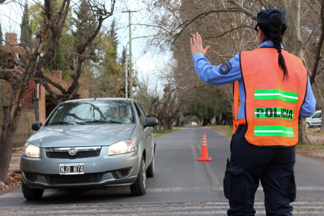 Scoring: Luchemos por la Vida calificó al sistema como positivo, pero pidió más controles 