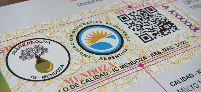 El aceite de oliva extra virgen de Mendoza sigue haciendo historia