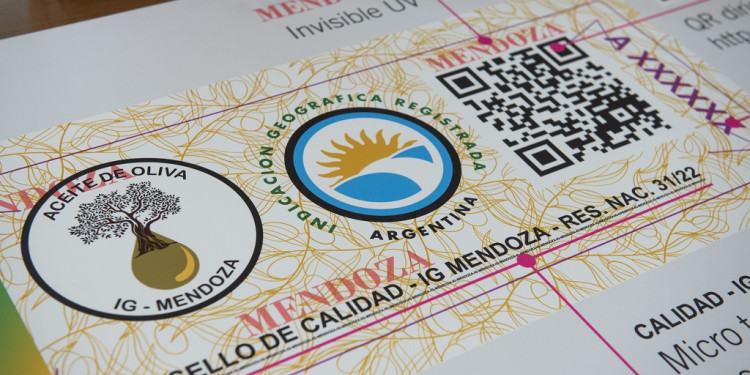 El aceite de oliva extra virgen de Mendoza sigue haciendo historia