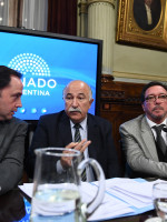 Aborto legal: una periodista denunció censura para ingresar en el Senado