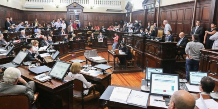 Senado en llamas: hoy discute y vota nueve proyectos de ley