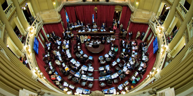 La aprobación del aborto legal tiene ventaja en el Senado