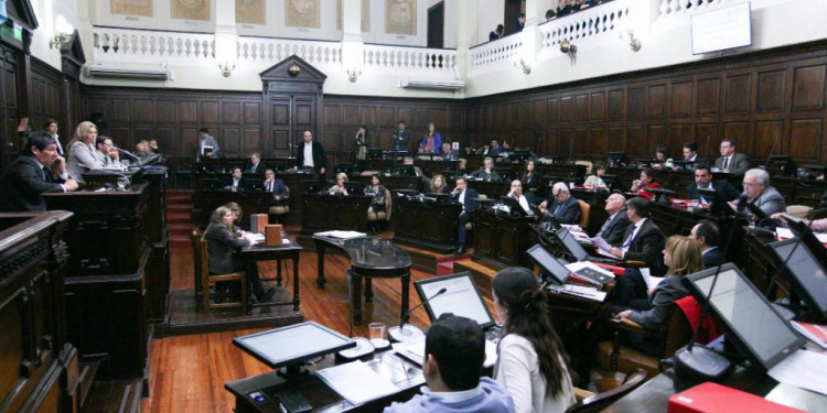 El Senado se prepara para tratar la paridad de género en listas electorales