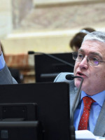 Pais: "Michetti está obstaculizando el reglamento de la Cámara"