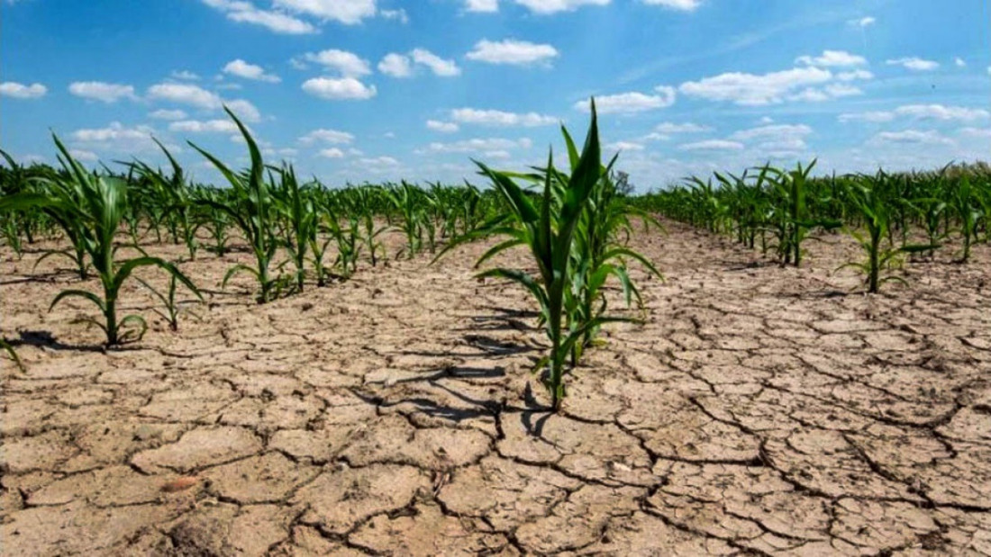 Casi 23 millones de hectáreas se encuentran en condiciones de sequía severa por falta de lluvias