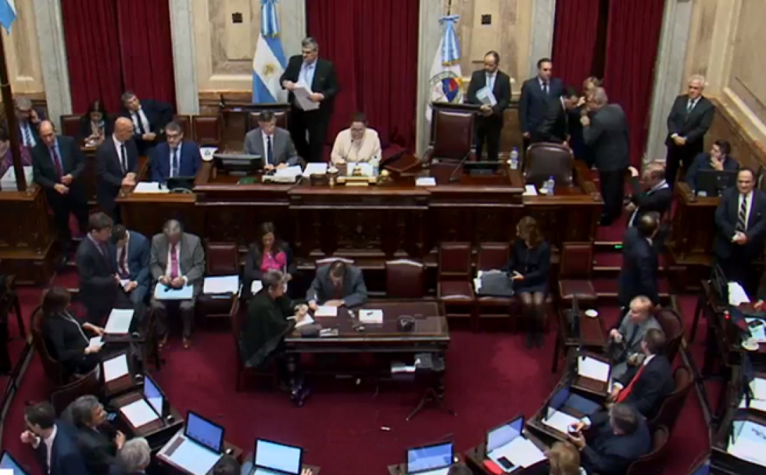 Seguí en vivo la sesión del Senado por las tarifas