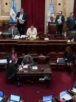 Seguí en vivo la sesión del Senado por las tarifas