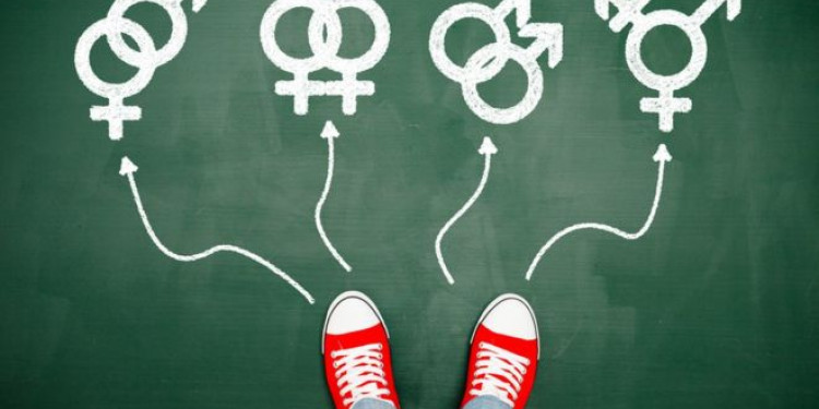 Las diferencias entre orientación sexual y elección sexual