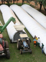 Silobolsas, el "invento argentino" que también se utiliza en Mendoza