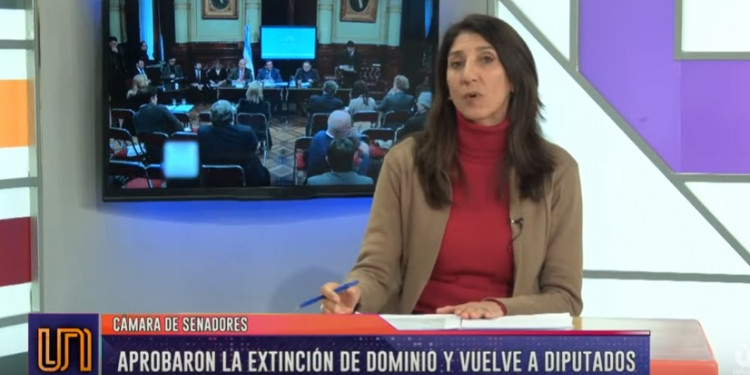 El Senado aprobó la Ley de Extinción Dominio, pero regresa a Diputados