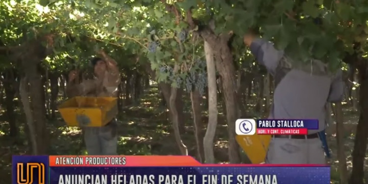 Atención productores: alerta por heladas para el fin de semana