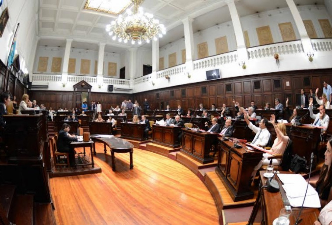 Ítem banca: el presentismo legislativo bajo la lupa