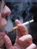 Meta humo