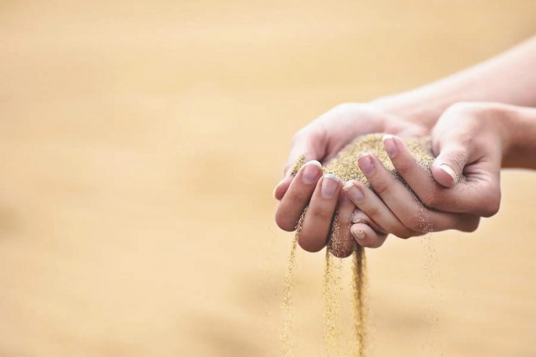 Cómo la sobreexplotación de arena afecta la biodiversidad del planeta