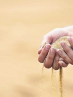 Cómo la sobreexplotación de arena afecta la biodiversidad del planeta