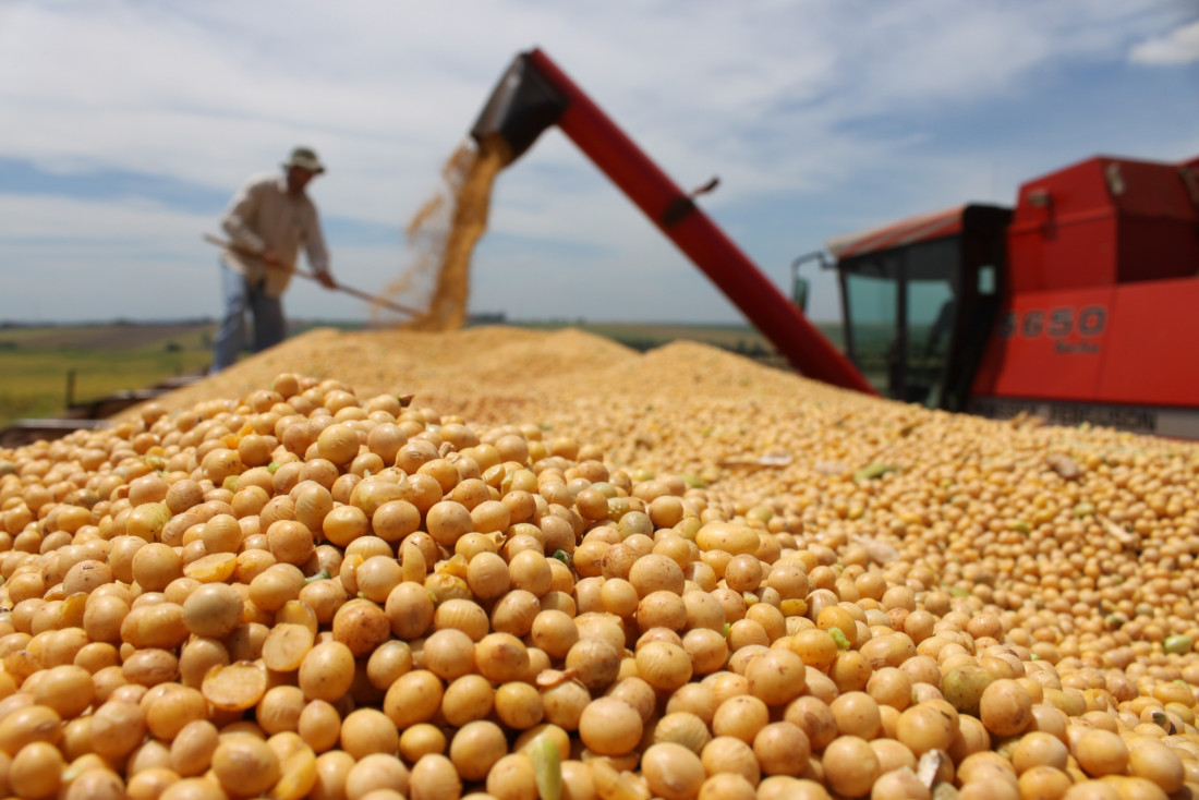 Agroexportadores liquidaron en lo que va del año más de USD 10 720 millones