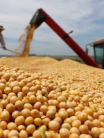 Agroexportadores liquidaron en lo que va del año más de USD 10 720 millones