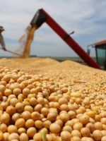 El Gobierno eliminó las retenciones a exportaciones de 70 productos agroindustriales