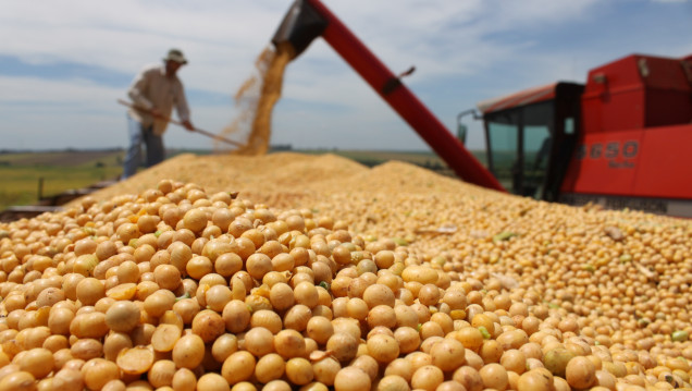 imagen El Gobierno eliminó las retenciones a exportaciones de 70 productos agroindustriales