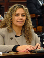 Modificaciones a la ley de Niñez, Adolescencia y Familia