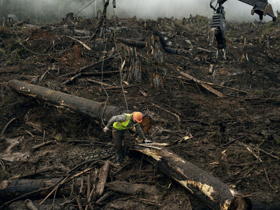 La sobreexplotación de los suelos podría causar una sexta extinción masiva