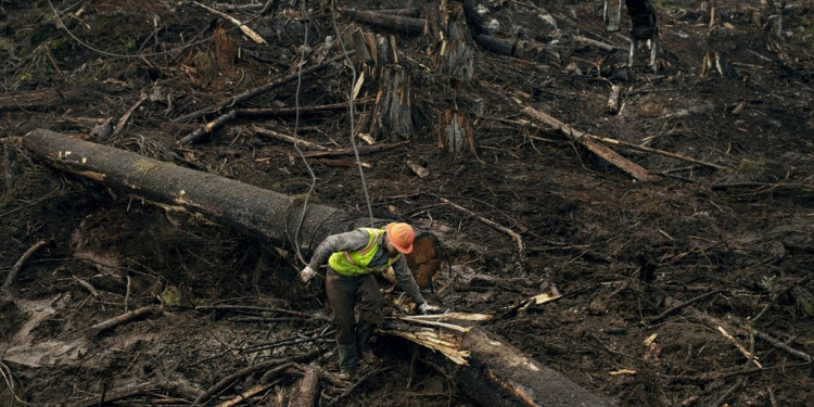 La sobreexplotación de los suelos podría causar una sexta extinción masiva