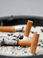 Investigadoras argentinas hallaron hongos que descontaminan las colillas de cigarrillos
