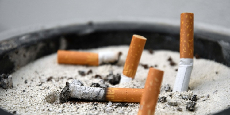 Investigadoras argentinas hallaron hongos que descontaminan las colillas de cigarrillos