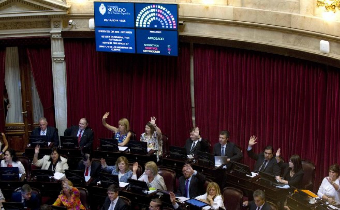 Es ley la elección de parlamentarios del Mercosur