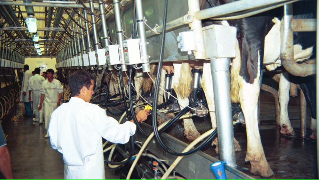 imagen Se triplicaron las alergias a la leche de vaca en los bebés