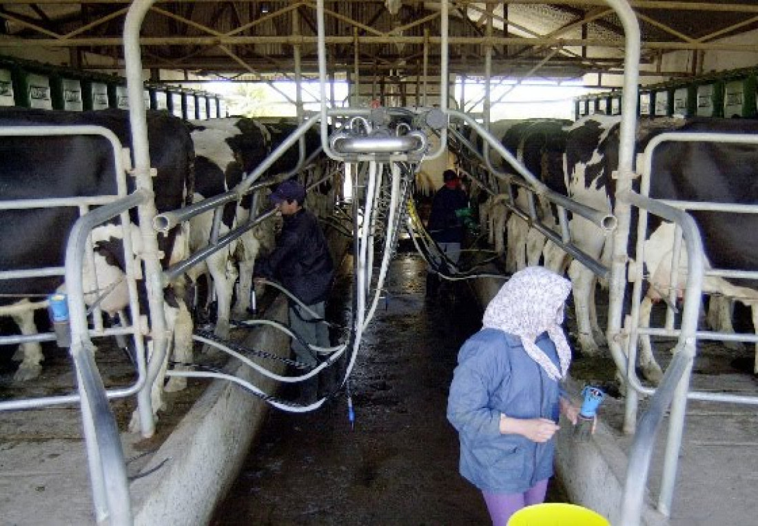 Tamberos de Santa Fe y Córdoba regalaron leche en reclamo por la crisis del sector