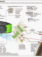 Recurso extraordinario para que la Corte Suprema se expida sobre las pistolas Taser