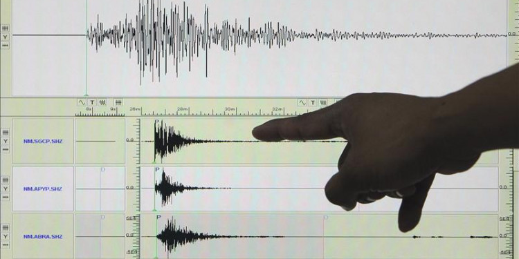 Se registraron sismos en Japón y Chile