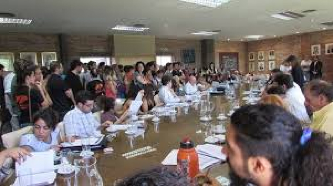 Comisión Terrenos de la Universidad rechazó propuesta de Vila