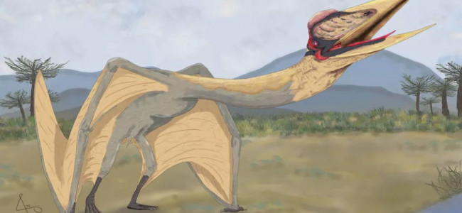 Cronología de un hallazgo: así era el "Dragón de la Muerte", el reptil alado descubierto en Mendoza
