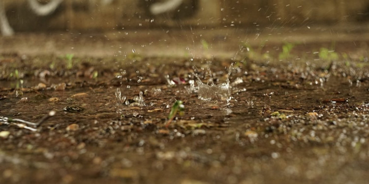 ¿Qué es ese olor que sentimos cuando llueve?