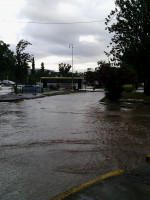 "La tormenta fue una de las más fuertes de los últimos años"