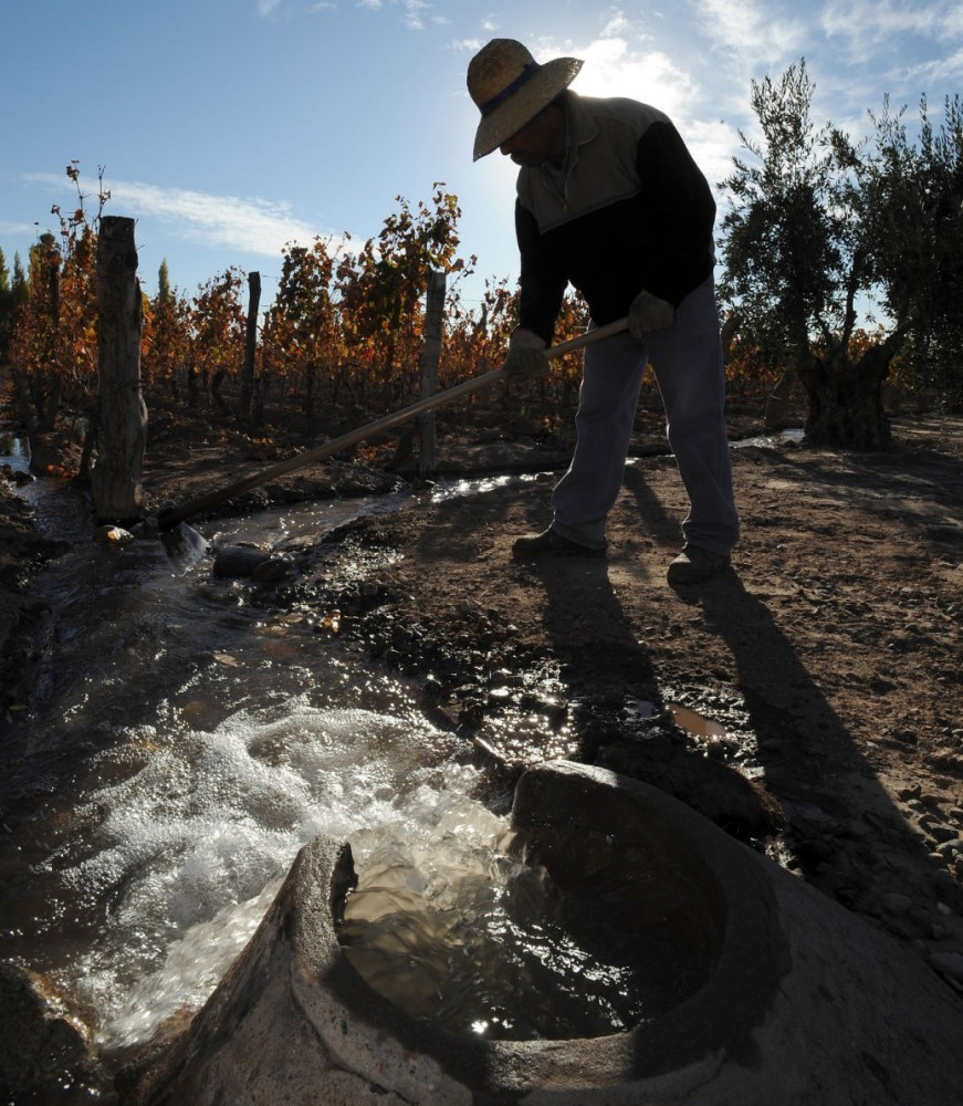 Temen presencia de agrotóxicos en los cauces mendocinos