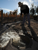 Temen presencia de agrotóxicos en los cauces mendocinos