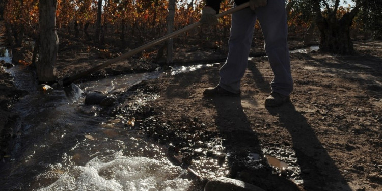 Temen presencia de agrotóxicos en los cauces mendocinos