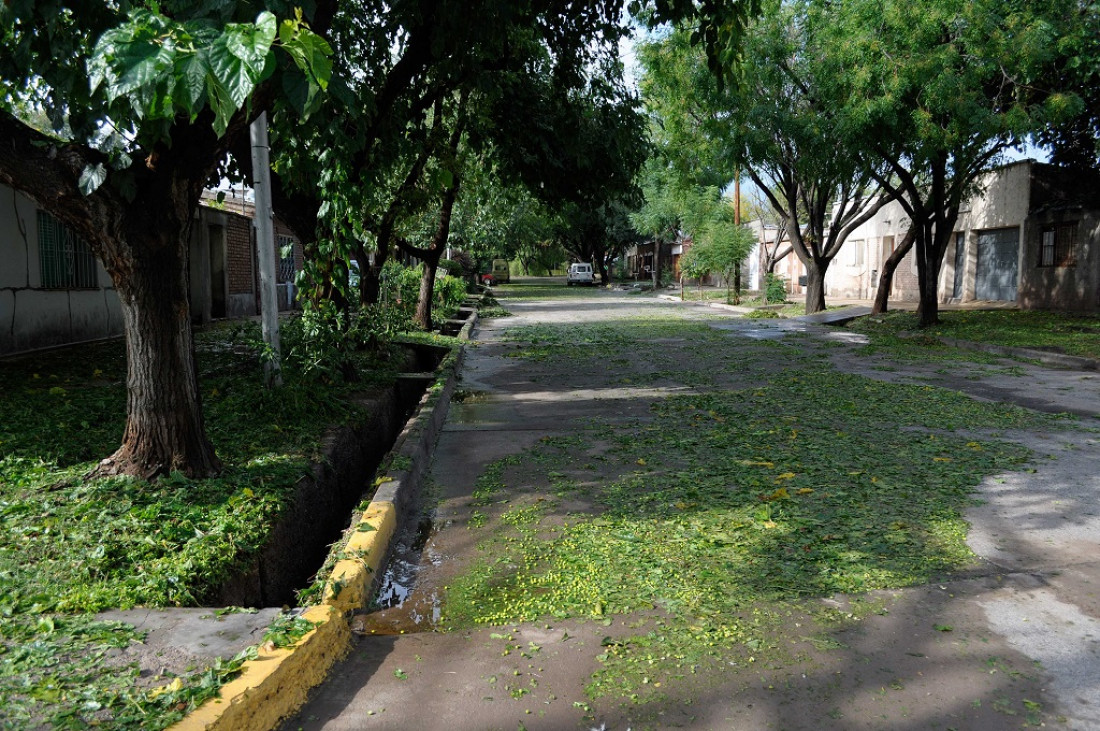 La fuerte tormenta dejó casas inundadas, árboles caídos y cortes de luz