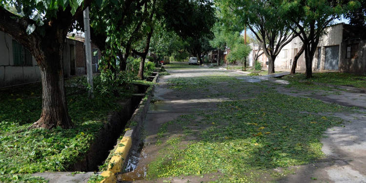 La fuerte tormenta dejó casas inundadas, árboles caídos y cortes de luz