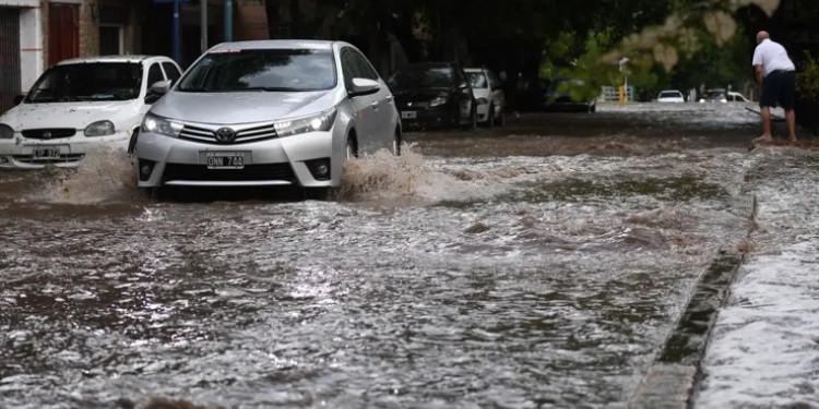 Destrozos en viviendas, evacuaciones, árboles caídos y derrumbes: el saldo de la tormenta en Mendoza 