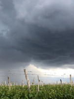 Saldo de la tormenta: evacuados, rutas intransitables y cortes de agua