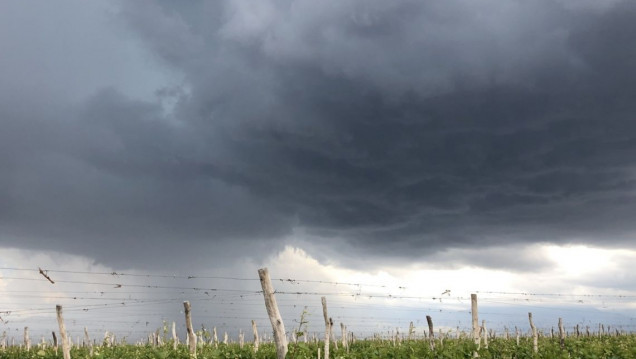 imagen Saldo de la tormenta: evacuados, rutas intransitables y cortes de agua