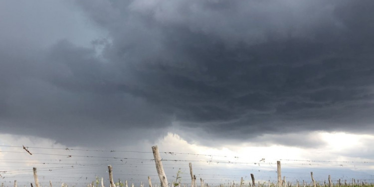 Saldo de la tormenta: evacuados, rutas intransitables y cortes de agua