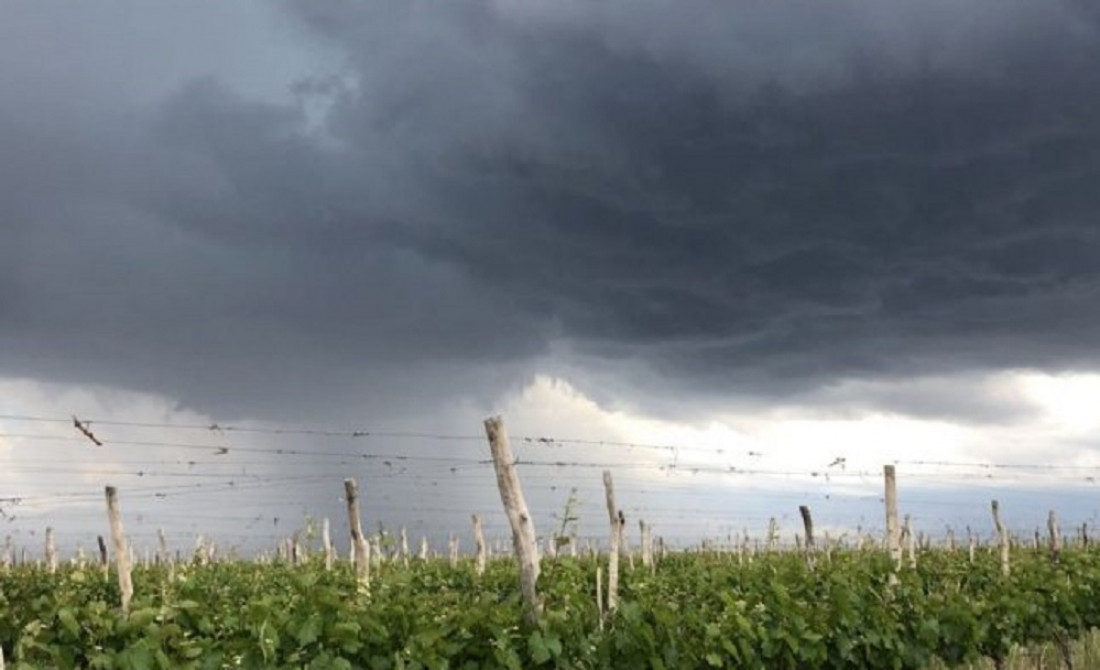Por ley, Mendoza otorgará beneficios al sector agropecuario afectado por las tormentas de granizo