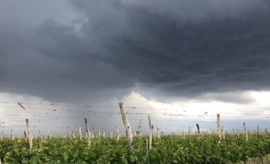 Viviendas inundadas y calles anegadas, entre los saldos de la fuerte tormenta del domingo