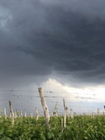 Viviendas inundadas y calles anegadas, entre los saldos de la fuerte tormenta del domingo